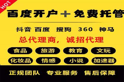 百度SEO推广策略解析：某知名企业的成功经验